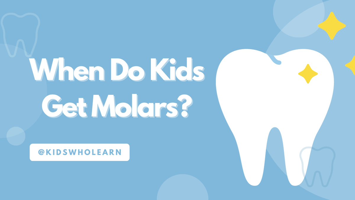 When Do Kids Get Molars?
