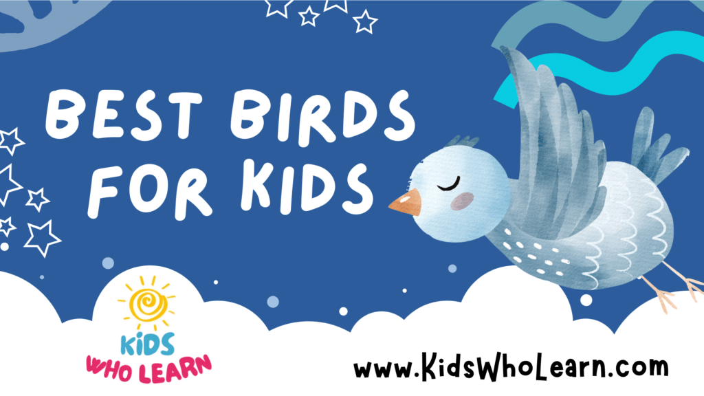 Best Birds For Kids