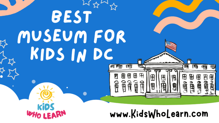 Best Musuem For Kids In Dc