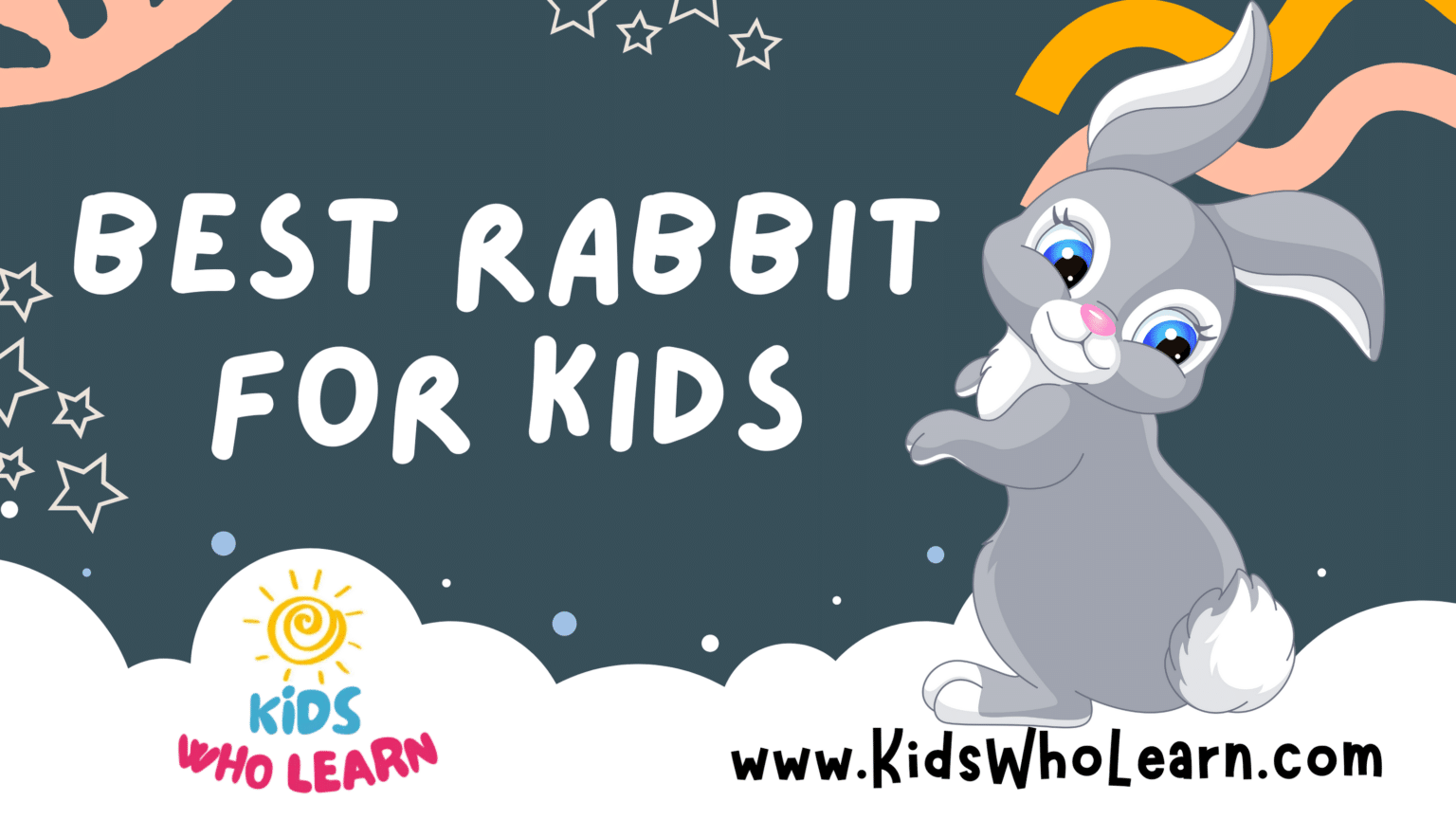 Best Rabbit For Kids