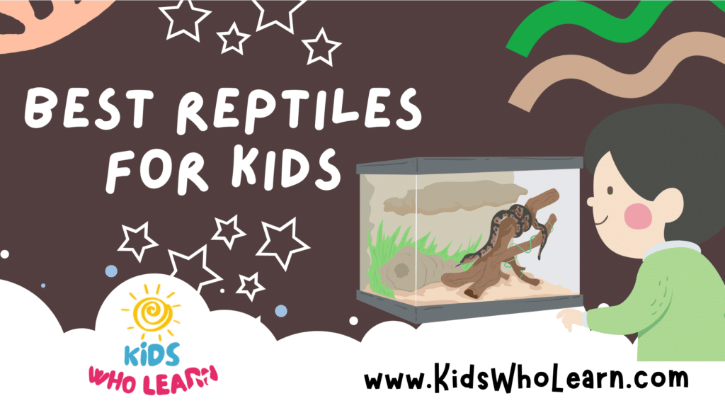 Best Reptiles For Kids