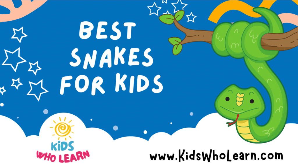 Best Snakes For Kids